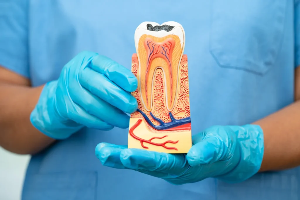studio dentistico lettini a trani
